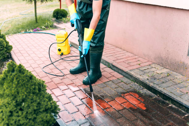 Best Roof Pressure Washing  in Mounds View, MN