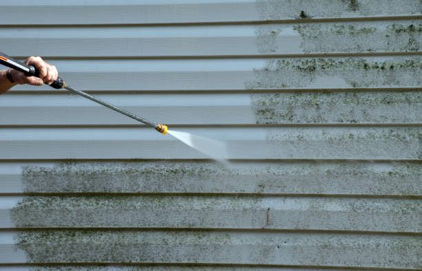 Best Sidewalk Pressure Washing  in Mounds View, MN