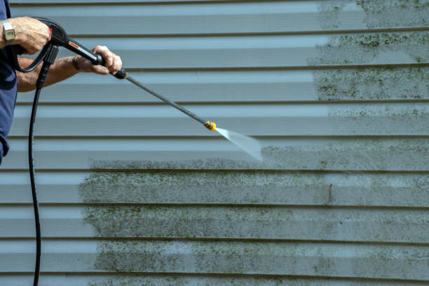 Best Residential Pressure Washing Services  in Mounds View, MN