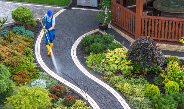 Best Power Washing Near Me  in Mounds View, MN